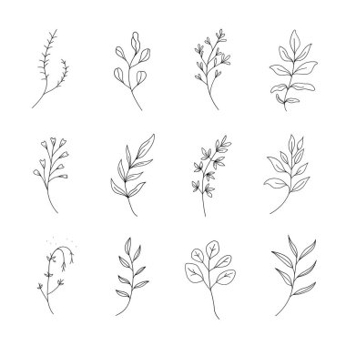Minimalist yaprakları ve çiçekli elementleri olan basit botanik çizimler koleksiyonu. Modern logolar, markalaşma, ambalaj ve davetiyeler için ideal.