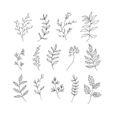 Karmaşık çiçek detaylarıyla el yapımı botanik elementler koleksiyonu. Dijital sanat, kumaş baskıları, tebrik kartları ve markalaşma için uygundur..