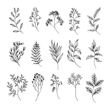 Karmaşık çiçek detaylarıyla el yapımı botanik elementler koleksiyonu. Dijital sanat, kumaş baskıları, tebrik kartları ve markalaşma için uygundur..