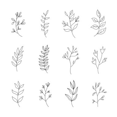 Minimalist yaprakları ve çiçekli elementleri olan basit botanik çizimler koleksiyonu. Modern logolar, markalaşma, ambalaj ve davetiyeler için ideal.
