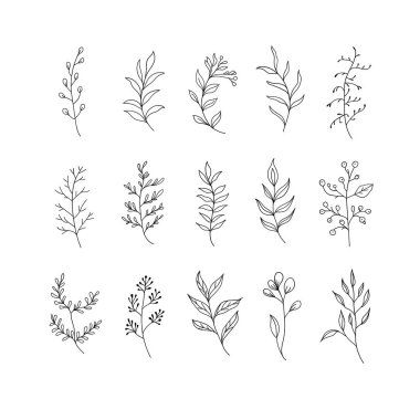 Karmaşık çiçek detaylarıyla el yapımı botanik elementler koleksiyonu. Dijital sanat, kumaş baskıları, tebrik kartları ve markalaşma için uygundur..