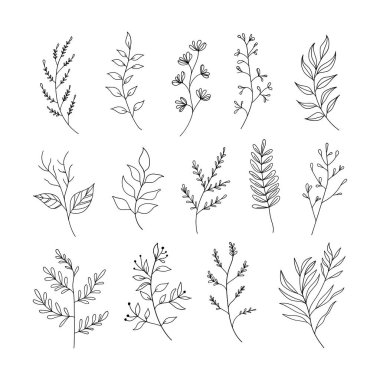 Çeşitli yabani bitkiler, yapraklar ve çiçeklerden oluşan detaylı bir botanik çizim seti. Davetiyeler, tekstil tasarımı ve zarif markalaşma için ideal..