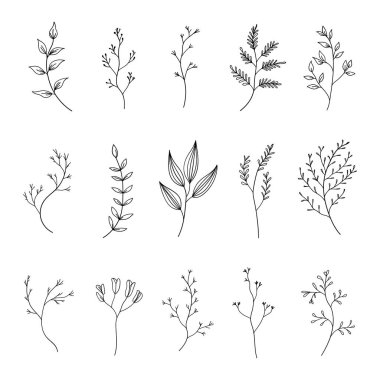 Farklı bitki türlerinin yer aldığı ince çizgi botanik çizimleri. Minimalist tasarımlar, desenler ve doğadan esinlenilmiş projeler için mükemmel..