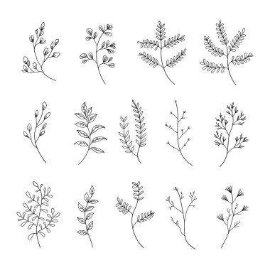 Farklı bitki türlerinin yer aldığı ince çizgi botanik çizimleri. Minimalist tasarımlar, desenler ve doğadan esinlenilmiş projeler için mükemmel..