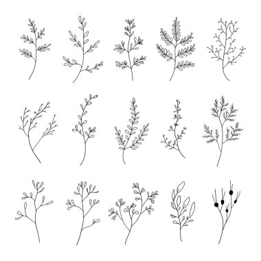 Dallar, yapraklar ve çiçek çizimleri de dahil olmak üzere el yapımı botanik elementlerin hassas bir koleksiyonu. Marka, davetiye ve dekoratif kompozisyonlar için mükemmel..
