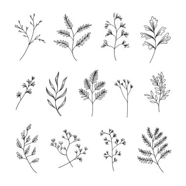 Yapraklar ve küçük dallar da dahil olmak üzere el yapımı botanik elementlerin rafine bir koleksiyonu. Markalaşma, ambalaj, düğün davetiyeleri ve zarif kompozisyonlar için ideal..