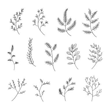 Narin yapraklar ve çiçekli elementlerin yer aldığı minimalist botanik çizgilerden oluşan bir koleksiyon. Logolar, markalar ve düğün davetiyeleri için mükemmel..