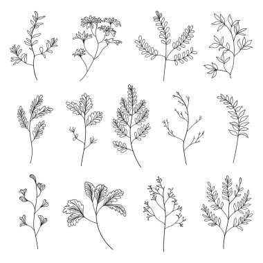 Yapraklar ve küçük dallar da dahil olmak üzere el yapımı botanik elementlerin rafine bir koleksiyonu. Markalaşma, ambalaj, düğün davetiyeleri ve zarif kompozisyonlar için ideal..