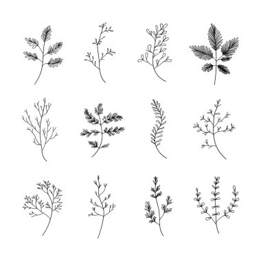 Yapraklar ve küçük dallar da dahil olmak üzere el yapımı botanik elementlerin rafine bir koleksiyonu. Markalaşma, ambalaj, düğün davetiyeleri ve zarif kompozisyonlar için ideal..