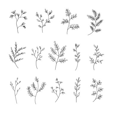Minimalist yaprakları ve çiçekli elementleri olan basit botanik çizimler koleksiyonu. Modern logolar, markalaşma, ambalaj ve davetiyeler için ideal.
