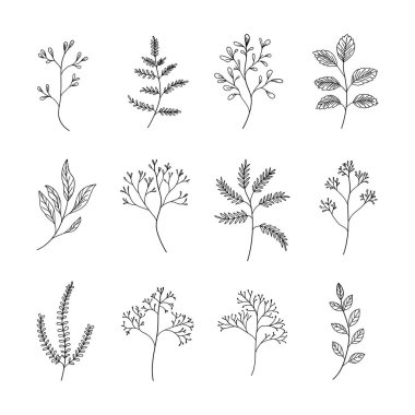 Minimalist yaprakları ve çiçekli elementleri olan basit botanik çizimler koleksiyonu. Modern logolar, markalaşma, ambalaj ve davetiyeler için ideal.