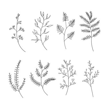 Minimalist yaprakları ve çiçekli elementleri olan basit botanik çizimler koleksiyonu. Modern logolar, markalaşma, ambalaj ve davetiyeler için ideal.
