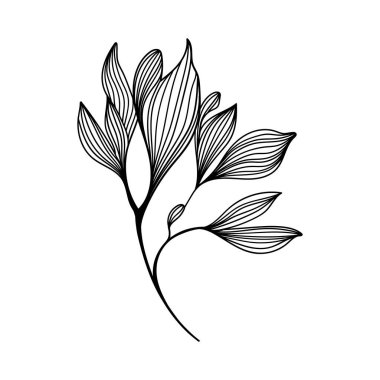 Ayrıntılı Yaprak Resimleri. Markalaşma, tekstil tasarımı ve dekoratif aksanlar için harika bir seçim..