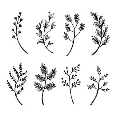 Minimalist yaprakları ve çiçekli elementleri olan basit botanik çizimler koleksiyonu. Modern logolar, markalaşma, ambalaj ve davetiyeler için ideal.