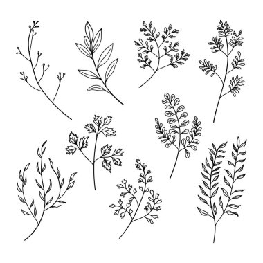 Minimalist yaprakları ve çiçekli elementleri olan basit botanik çizimler koleksiyonu. Modern logolar, markalaşma, ambalaj ve davetiyeler için ideal.