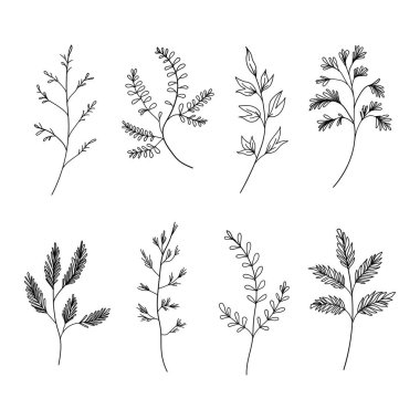 Karmaşık çiçek detaylarıyla el yapımı botanik elementler koleksiyonu. Dijital sanat, kumaş baskıları, tebrik kartları ve markalaşma için uygundur..