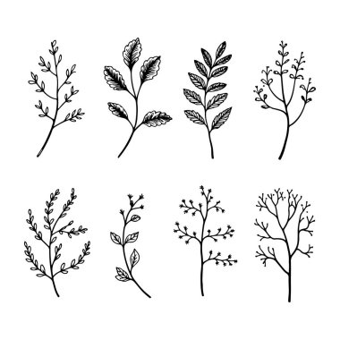 Karmaşık çiçek detaylarıyla el yapımı botanik elementler koleksiyonu. Dijital sanat, kumaş baskıları, tebrik kartları ve markalaşma için uygundur..