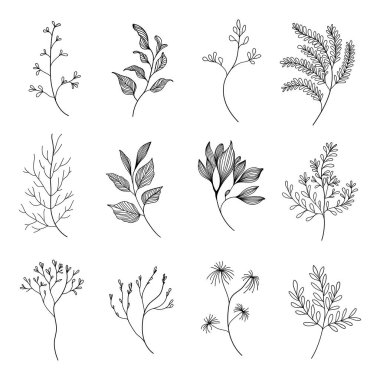 Karmaşık çiçek detaylarıyla el yapımı botanik elementler koleksiyonu. Dijital sanat, kumaş baskıları, tebrik kartları ve markalaşma için uygundur..