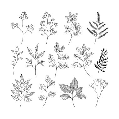 Karmaşık çiçek detaylarıyla el yapımı botanik elementler koleksiyonu. Dijital sanat, kumaş baskıları, tebrik kartları ve markalaşma için uygundur..