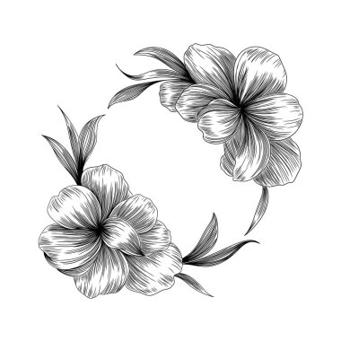 Detaylı el çizimleri ve yaprakları olan bir çiçek çelengi botanik tarzında, logolar, davetiyeler ve dekoratif sanat eserleri için ideal..