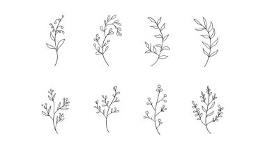 Her bitki ince dekorasyon ve doğa temalı projeler için mükemmel, organik, nazik ve zarif bir hisle tasarımları geliştirmek için özenle çizilmiş..