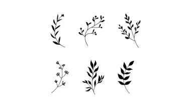 Bu modern ve dekoratif stil modaya uygun kompozisyonlar, soyut doğa kalıpları ve minimalist siyah-beyaz tasarımlar için mükemmel işliyor..