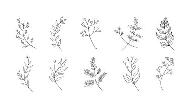 Her bitki ince dekorasyon ve doğa temalı projeler için mükemmel, organik, nazik ve zarif bir hisle tasarımları geliştirmek için özenle çizilmiş..