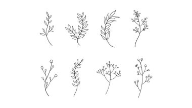 Her bitki ince dekorasyon ve doğa temalı projeler için mükemmel, organik, nazik ve zarif bir hisle tasarımları geliştirmek için özenle çizilmiş..
