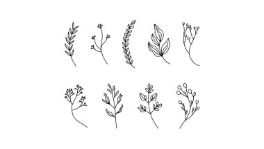 Her bitki ince dekorasyon ve doğa temalı projeler için mükemmel, organik, nazik ve zarif bir hisle tasarımları geliştirmek için özenle çizilmiş..