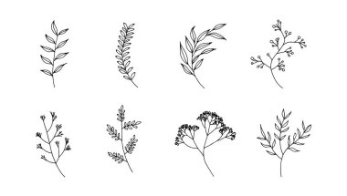 Bu modern ve dekoratif stil modaya uygun kompozisyonlar, soyut doğa kalıpları ve minimalist siyah-beyaz tasarımlar için mükemmel işliyor..