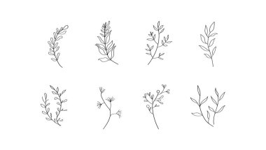 Her bitki ince dekorasyon ve doğa temalı projeler için mükemmel, organik, nazik ve zarif bir hisle tasarımları geliştirmek için özenle çizilmiş..