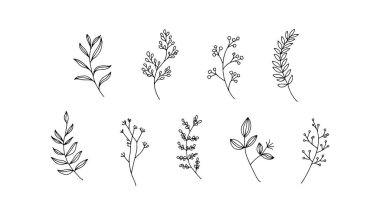 Her bitki ince dekorasyon ve doğa temalı projeler için mükemmel, organik, nazik ve zarif bir hisle tasarımları geliştirmek için özenle çizilmiş..