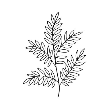 Zarif çizgi detaylarıyla el yapımı botanik yaprak çizimi, minimalist doğa temalı tasarımlar, dövmeler veya bitkisel ambalajlar için mükemmel..