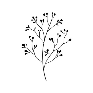 Basit ve organik cazibeyi birleştirerek düğün davetiyeleri, ambalajlar veya logolar için harika olan, küçük çiçekli ve böğürtlenli doğrusal çiçek dalı.