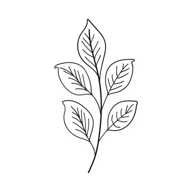 Zarif çizgi detaylarıyla el yapımı botanik yaprak çizimi, minimalist doğa temalı tasarımlar, dövmeler veya bitkisel ambalajlar için mükemmel..