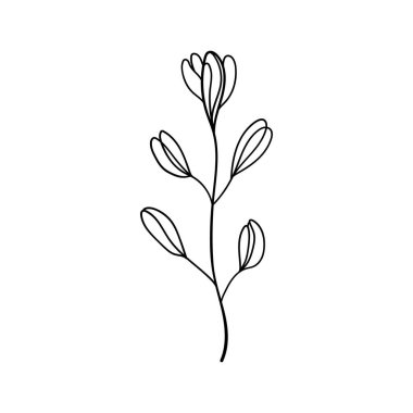 Hassas tomurcukları ve basit çizgileri olan ince çiçek sapı çizimleri, tebrik kartları, çıkartmalar veya ince kadınsı desenler için idealdir..