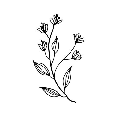 Hassas tomurcukları ve basit çizgileri olan ince çiçek sapı çizimleri, tebrik kartları, çıkartmalar veya ince kadınsı desenler için idealdir..