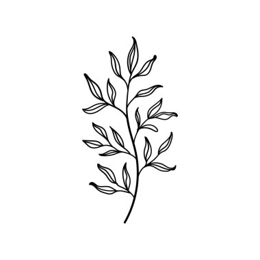 Zarif monokrom çizgisi sanatında stilize edilmiş yaprak sapı, temiz, modern kompozisyonlar, ambalaj veya kırtasiye için mükemmel..