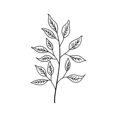 Asgari Yaprak Çizgisi Çizimi. Botanik dekor, logo tasarımı, çevre dostu markalar ya da doğal temalı baskılar için mükemmel..