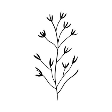 Minimal Çiçek Hattı Sanatı. Yumuşak, minimalist sanat eserleri botanik baskılar, kırtasiye, duvar sanatı veya modern çiçek tasarımı için mükemmeldir..