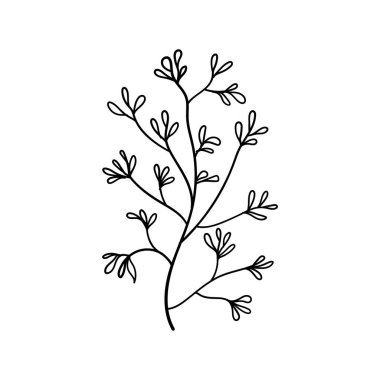 Hassas tomurcukları ve basit çizgileri olan ince çiçek sapı çizimleri, tebrik kartları, çıkartmalar veya ince kadınsı desenler için idealdir..