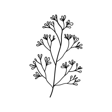 Minimal Çiçek Hattı Sanatı. Yumuşak, minimalist sanat eserleri botanik baskılar, kırtasiye, duvar sanatı veya modern çiçek tasarımı için mükemmeldir..