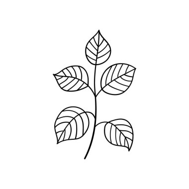 Zarif monokrom çizgisi sanatında stilize edilmiş yaprak sapı, temiz, modern kompozisyonlar, ambalaj veya kırtasiye için mükemmel..