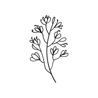 Hassas tomurcukları ve basit çizgileri olan ince çiçek sapı çizimleri, tebrik kartları, çıkartmalar veya ince kadınsı desenler için idealdir..