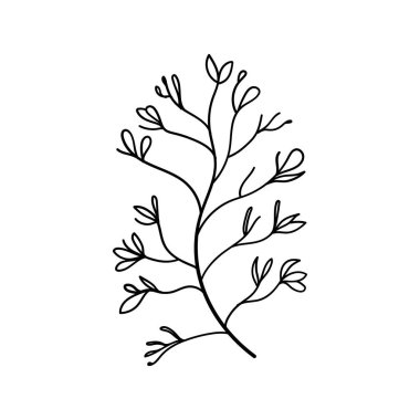 Minimal Çiçek Hattı Sanatı. Yumuşak, minimalist sanat eserleri botanik baskılar, kırtasiye, duvar sanatı veya modern çiçek tasarımı için mükemmeldir..