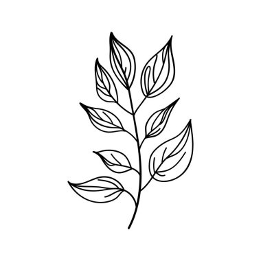 Zarif monokrom çizgisi sanatında stilize edilmiş yaprak sapı, temiz, modern kompozisyonlar, ambalaj veya kırtasiye için mükemmel..
