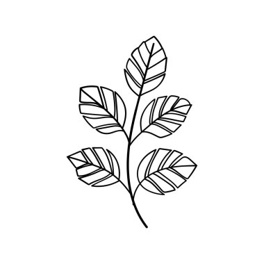 Zarif monokrom çizgisi sanatında stilize edilmiş yaprak sapı, temiz, modern kompozisyonlar, ambalaj veya kırtasiye için mükemmel..