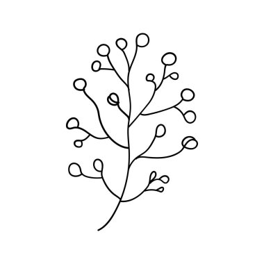 Basit ve organik cazibeyi birleştirerek düğün davetiyeleri, ambalajlar veya logolar için harika olan, küçük çiçekli ve böğürtlenli doğrusal çiçek dalı.
