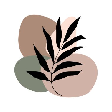 Soyut şekilli botanik yaprağı. Çağdaş botanik kompozisyonları için sakin, şık bir element.