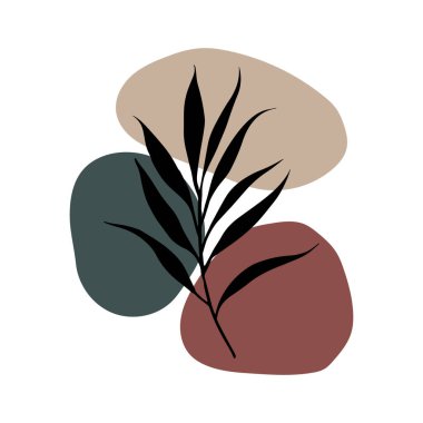 Soyut şekilli botanik yaprağı. Çağdaş botanik kompozisyonları için sakin, şık bir element.